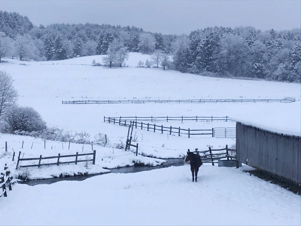 Season’s Greetings from TSB