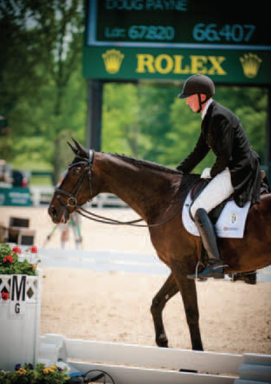 The First Ride: Analyzing a Horse on the Flat