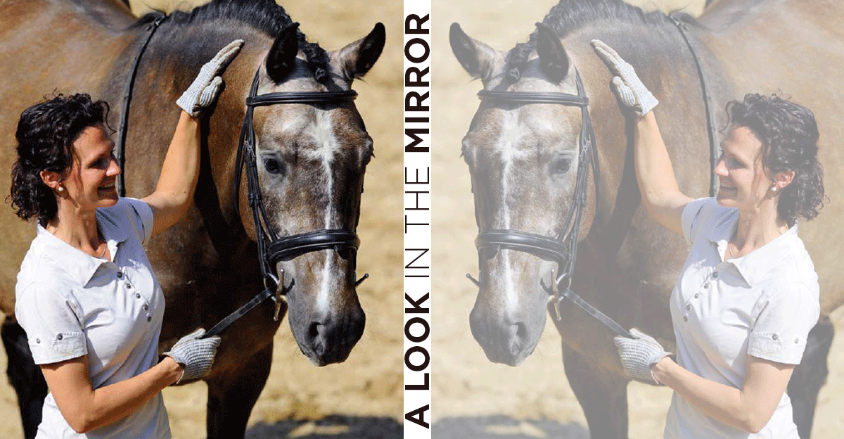Think of Training Your Horse As Taking a Good Look in the Mirror