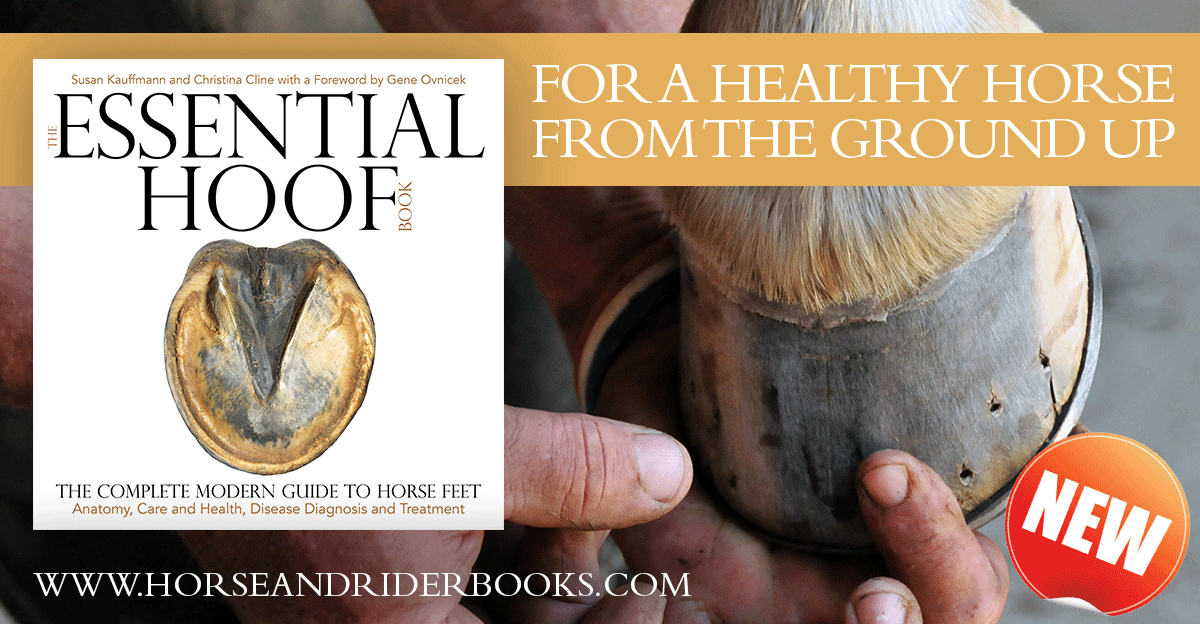 “Is My Horse’s Hoof-Pastern Axis BROKEN?” Here’s How You Can Tell