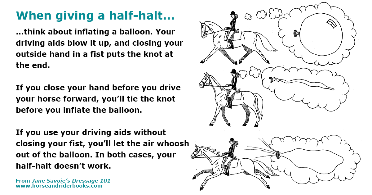 Half-Halts Everyone Can Understand (No, Really)