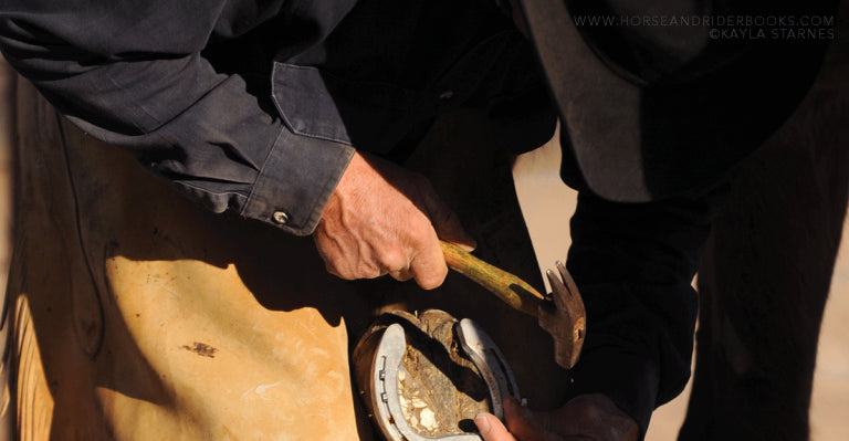 Do You Really KNOW Your Horse’s Hooves? Really?