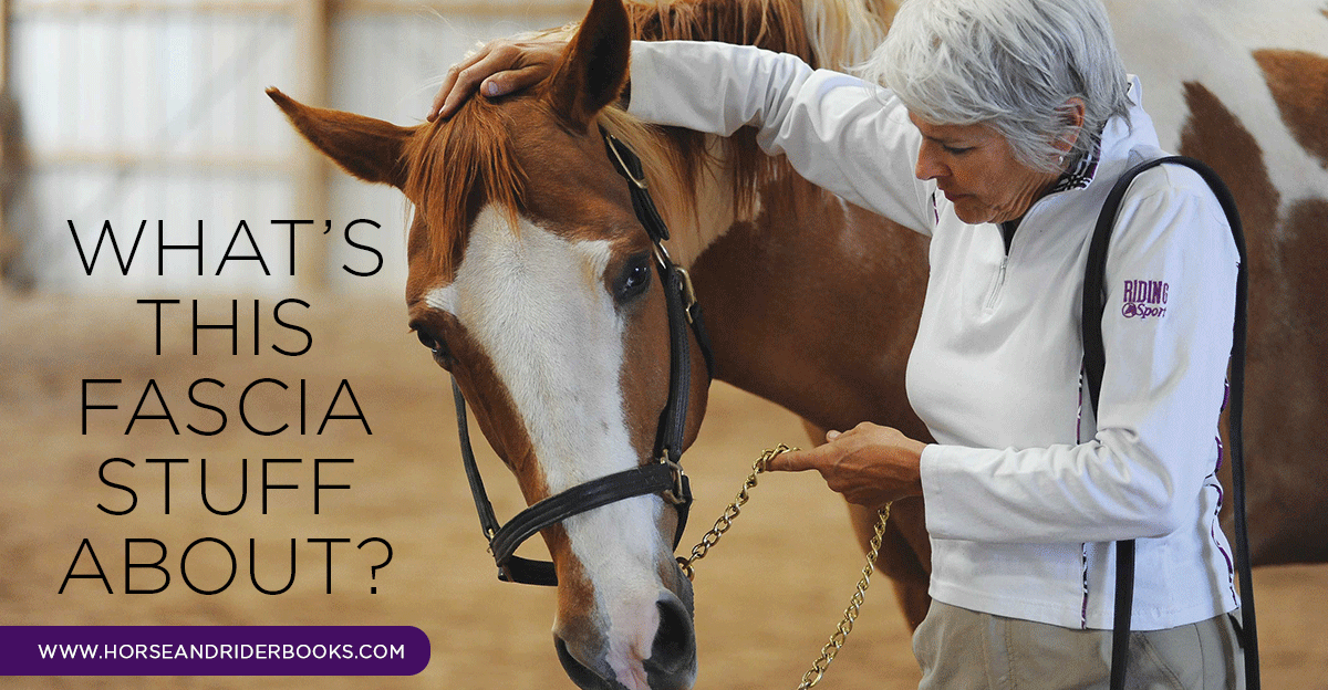 What’s Fascia? And What Does It Have to Do with Your Horse?