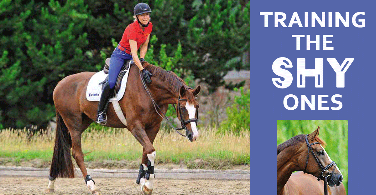 Training the Shy Ones: Insight from Ingrid Klimke