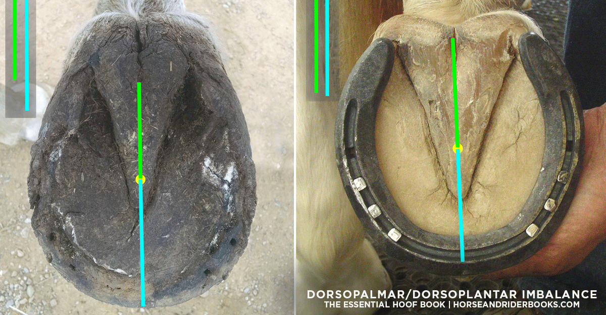 Your Horse’s Feet: Finding the Balance