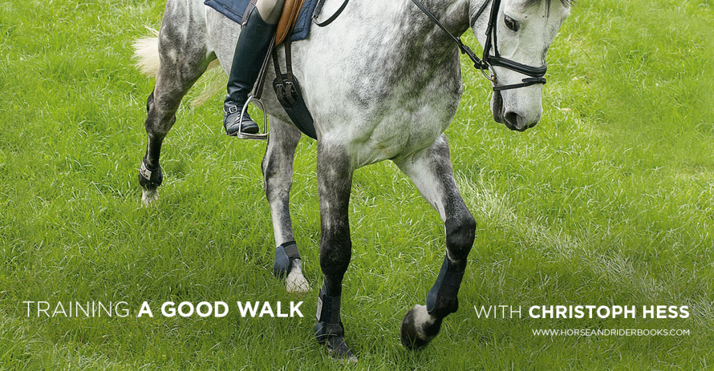 To Get a Good Walk…Work on Your Trot and Canter