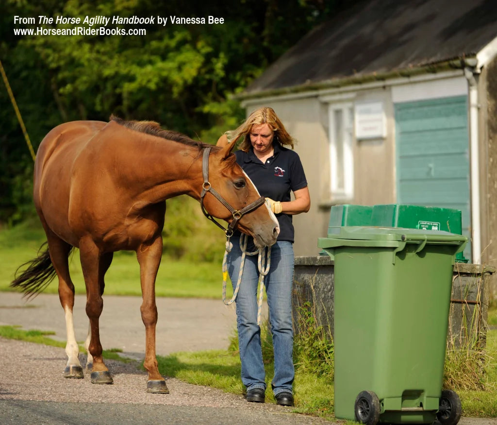 “Stretching” the Horse’s Comfort Zone–The Story of a Tourist in a Foreign Land