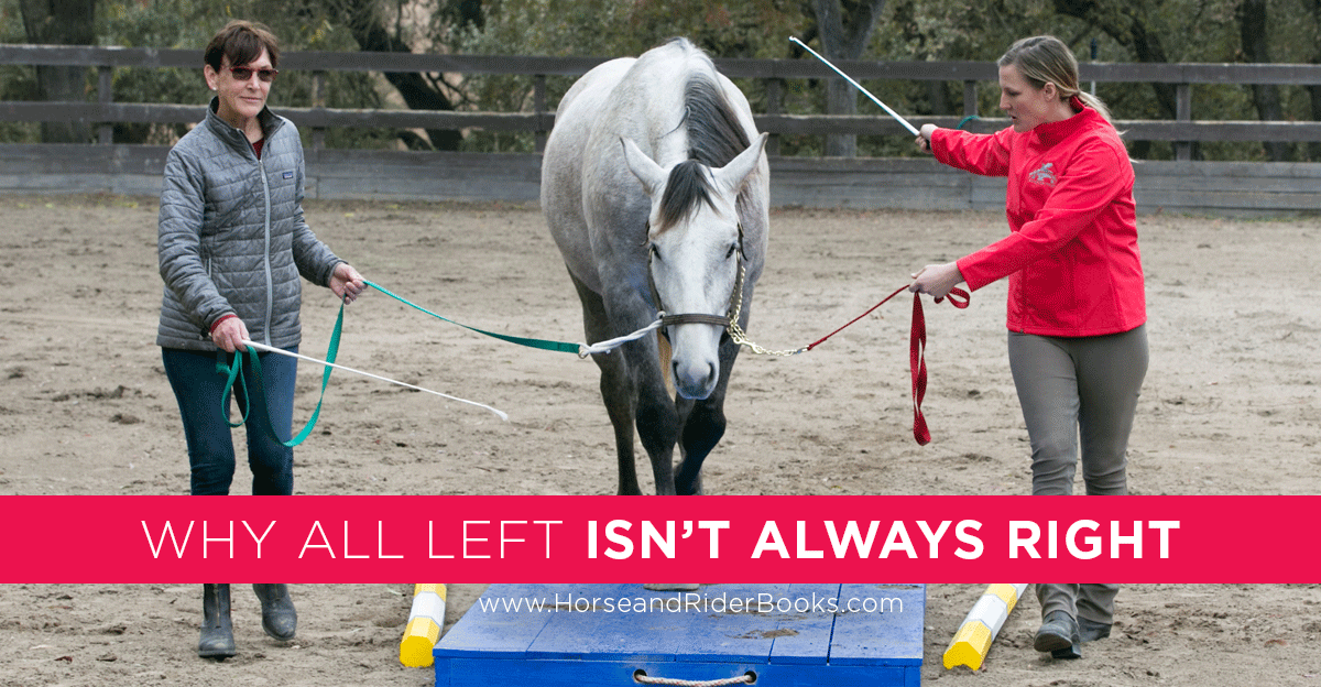 Horse Training…from Both Sides, Now